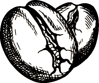 Warum wir mit Partner-Roestereien arbeiten